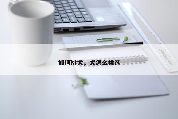 如何挑犬，犬怎么挑选