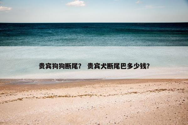 贵宾狗狗断尾？ 贵宾犬断尾巴多少钱？