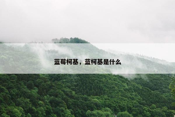 蓝莓柯基，蓝柯基是什么