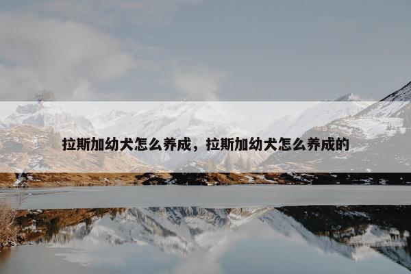 拉斯加幼犬怎么养成，拉斯加幼犬怎么养成的