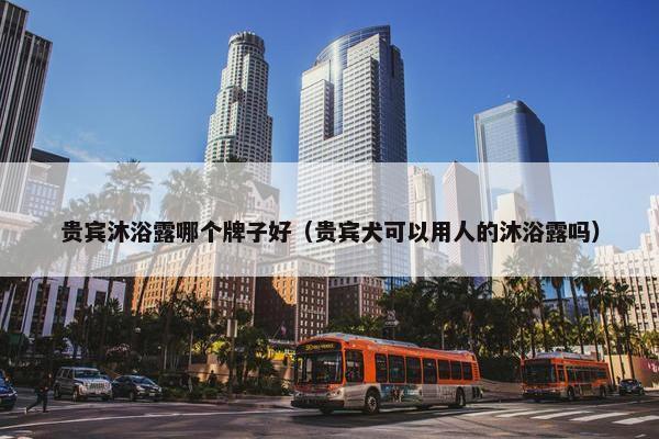 贵宾沐浴露哪个牌子好（贵宾犬可以用人的沐浴露吗）