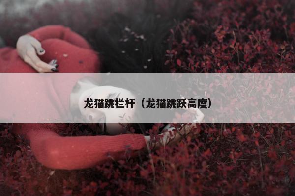 龙猫跳栏杆（龙猫跳跃高度）