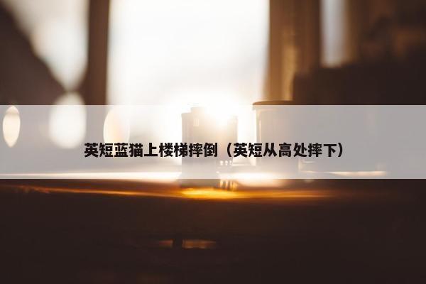 英短蓝猫上楼梯摔倒（英短从高处摔下）