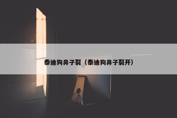 泰迪狗鼻子裂（泰迪狗鼻子裂开）
