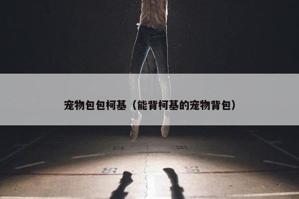宠物包包柯基（能背柯基的宠物背包）