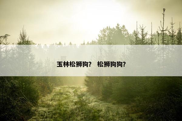 玉林松狮狗？ 松狮狗狗？