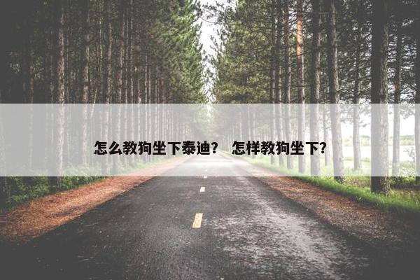 怎么教狗坐下泰迪？ 怎样教狗坐下？