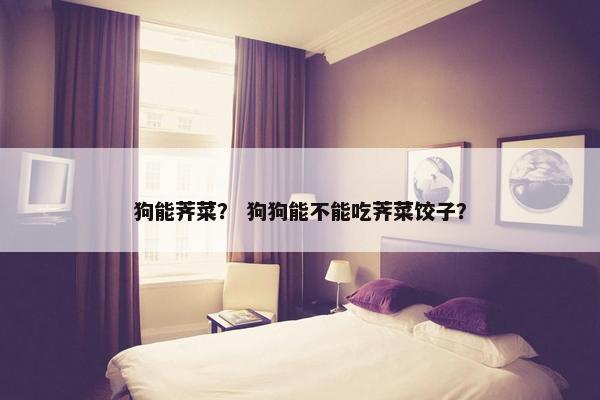 狗能荠菜？ 狗狗能不能吃荠菜饺子？