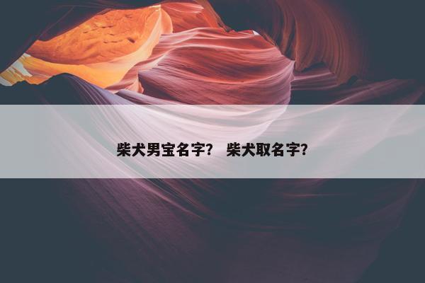 柴犬男宝名字？ 柴犬取名字？