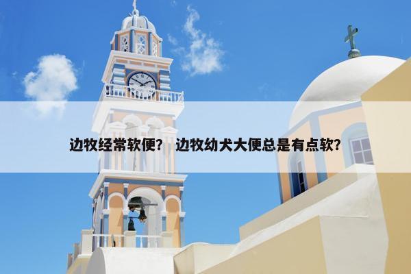 边牧经常软便？ 边牧幼犬大便总是有点软？