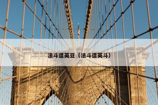 法斗逗英豆（法斗逗英斗）