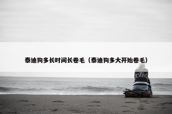 泰迪狗多长时间长卷毛（泰迪狗多大开始卷毛）