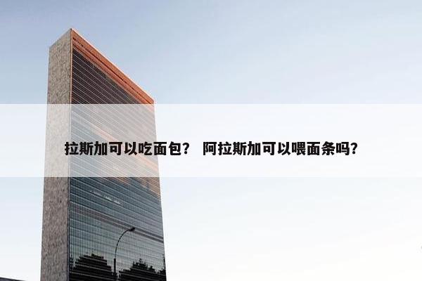 拉斯加可以吃面包？ 阿拉斯加可以喂面条吗？