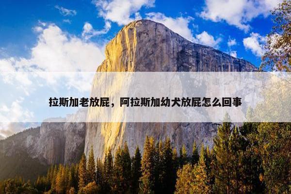 拉斯加老放屁，阿拉斯加幼犬放屁怎么回事