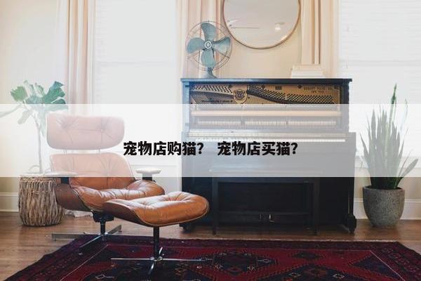 宠物店购猫？ 宠物店买猫？