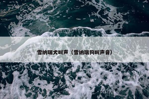 雪纳瑞犬叫声（雪纳瑞狗叫声音）