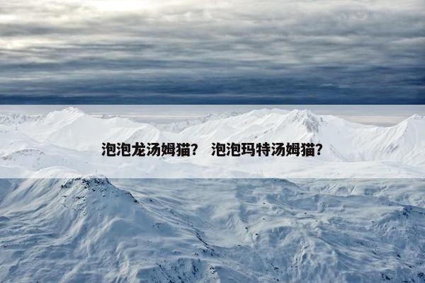 泡泡龙汤姆猫？ 泡泡玛特汤姆猫？