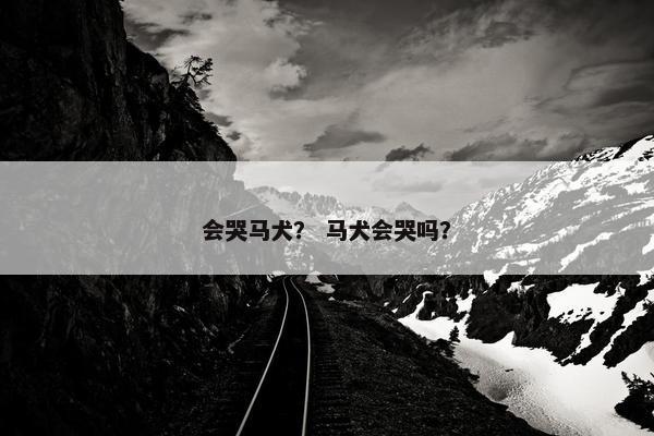 会哭马犬？ 马犬会哭吗？