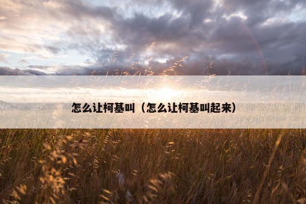 怎么让柯基叫（怎么让柯基叫起来）