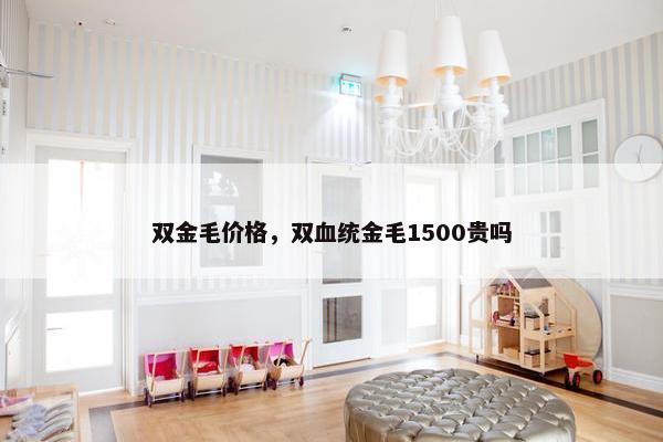 双金毛价格，双血统金毛1500贵吗