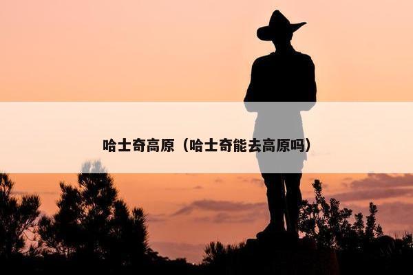 哈士奇高原（哈士奇能去高原吗）