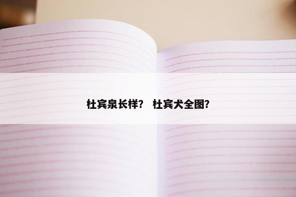 杜宾泉长样？ 杜宾犬全图？
