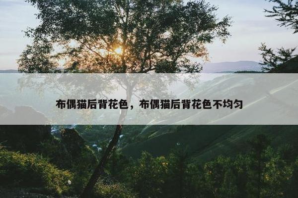 布偶猫后背花色，布偶猫后背花色不均匀