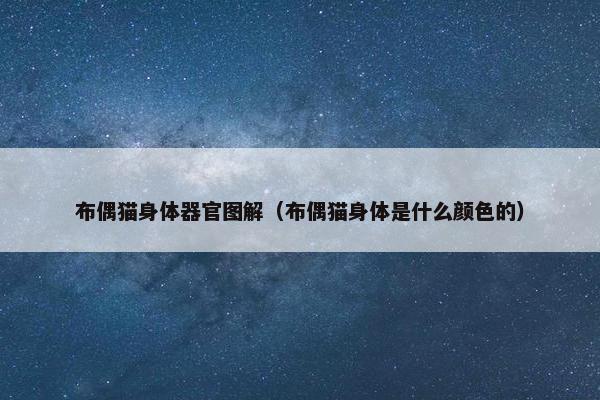布偶猫身体器官图解（布偶猫身体是什么颜色的）
