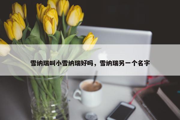 雪纳瑞叫小雪纳瑞好吗，雪纳瑞另一个名字