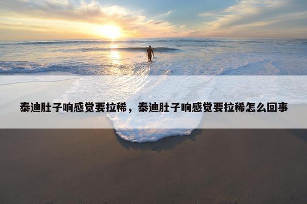 泰迪肚子响感觉要拉稀，泰迪肚子响感觉要拉稀怎么回事
