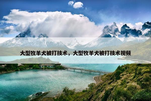 大型牧羊犬被打技术，大型牧羊犬被打技术视频