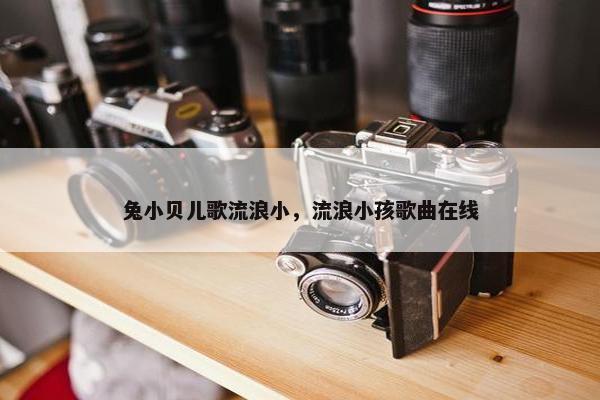 兔小贝儿歌流浪小，流浪小孩歌曲在线