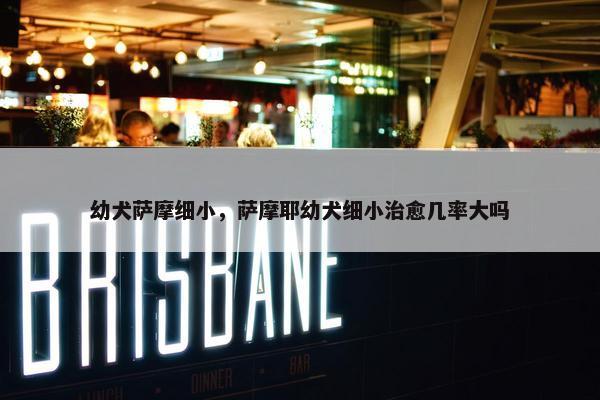 幼犬萨摩细小，萨摩耶幼犬细小治愈几率大吗