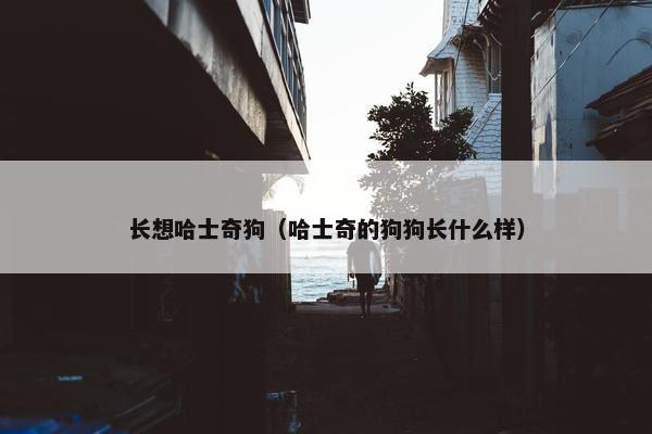长想哈士奇狗（哈士奇的狗狗长什么样）
