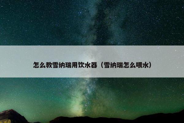 怎么教雪纳瑞用饮水器（雪纳瑞怎么喂水）