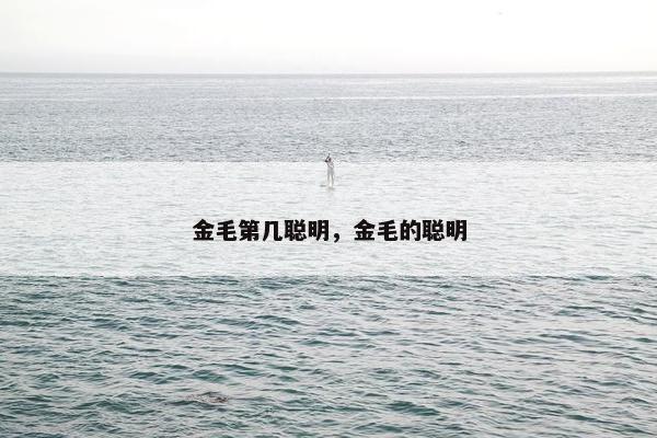 金毛第几聪明，金毛的聪明