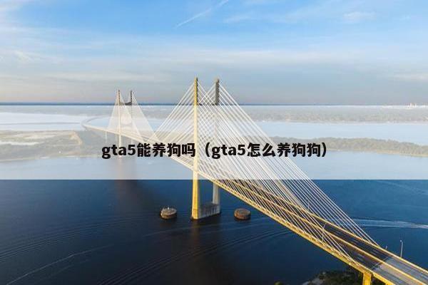 gta5能养狗吗（gta5怎么养狗狗）