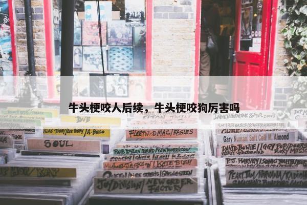 牛头梗咬人后续，牛头梗咬狗厉害吗