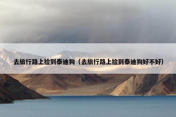 去旅行路上捡到泰迪狗（去旅行路上捡到泰迪狗好不好）