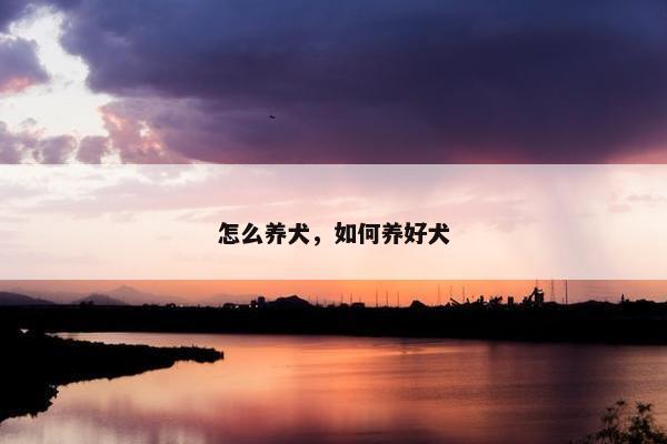 怎么养犬，如何养好犬