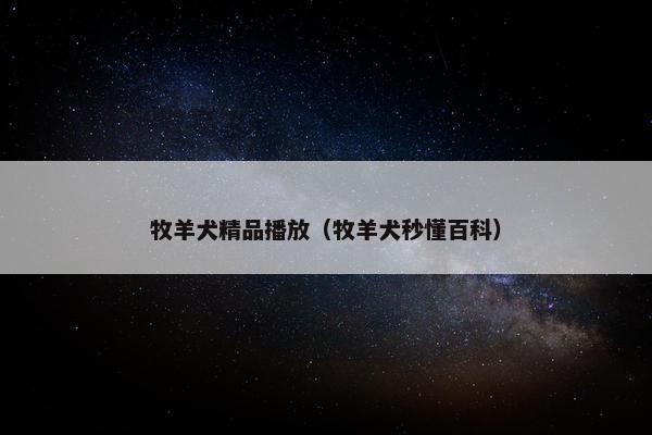 牧羊犬精品播放（牧羊犬秒懂百科）