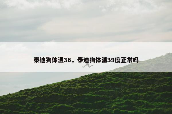 泰迪狗体温36，泰迪狗体温39度正常吗