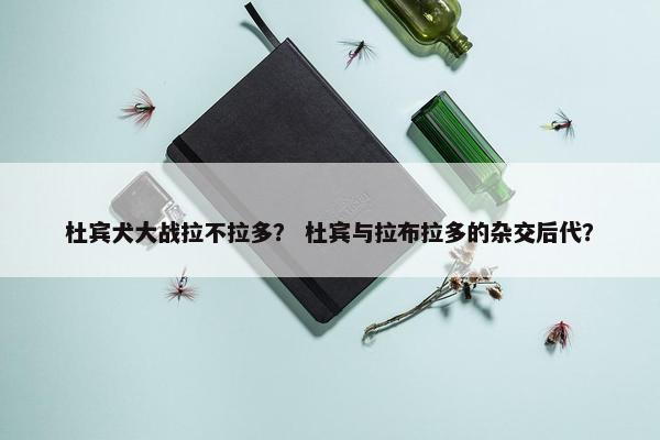 杜宾犬大战拉不拉多？ 杜宾与拉布拉多的杂交后代？