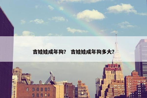 吉娃娃成年狗？ 吉娃娃成年狗多大？