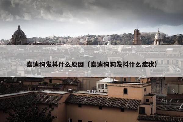 泰迪狗发抖什么原因（泰迪狗狗发抖什么症状）