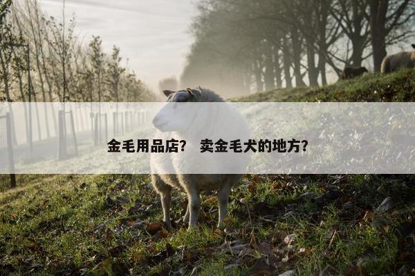 金毛用品店？ 卖金毛犬的地方？