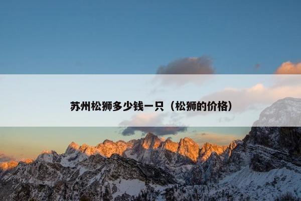 苏州松狮多少钱一只（松狮的价格）