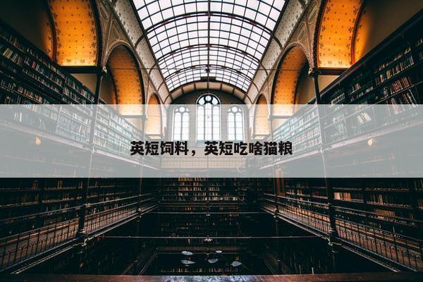 英短饲料，英短吃啥猫粮