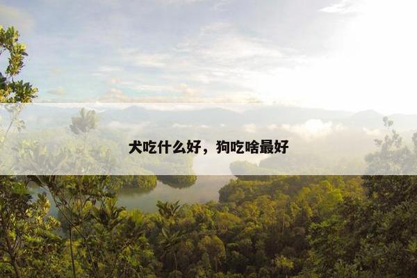 犬吃什么好，狗吃啥最好