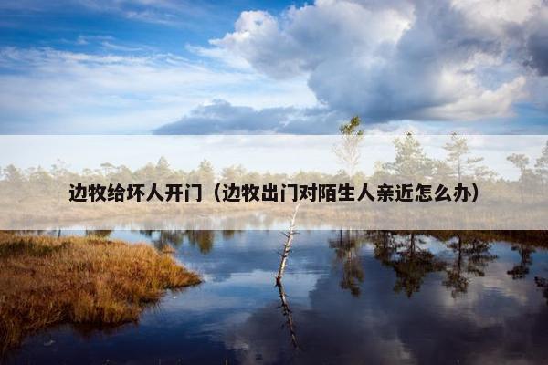 边牧给坏人开门（边牧出门对陌生人亲近怎么办）